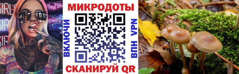 Галлюциногенные грибы Psilocybe  Купить закладки  Кизилюрт 